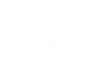 Spanplattenschrauben A4 4,8x19 TX20 15St